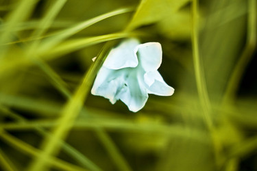 Similar image 785057