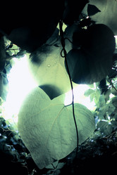 Similar image 785059