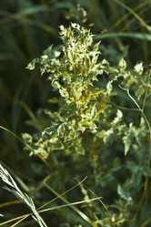 Similar image 785061