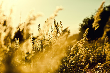 Similar image 785063