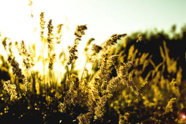 Similar image 785064