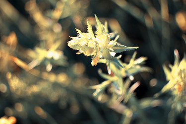 Similar image 785066