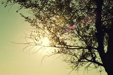 Similar image 785068