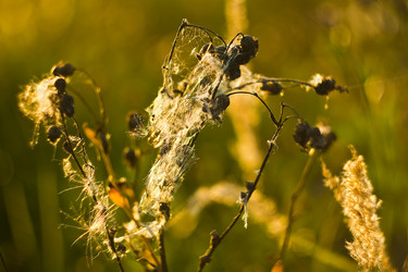 Similar image 785073