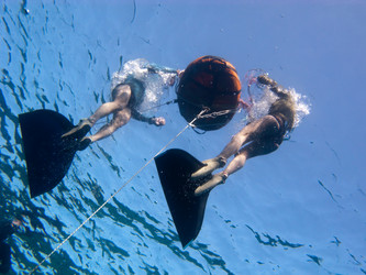 Similar image 785076