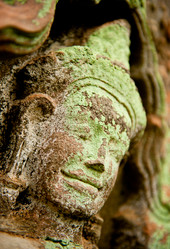 Similar image 785119