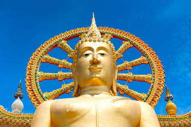 Similar image 785138