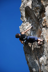 Similar image 785157