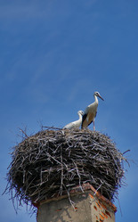 Similar image 785175