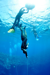 Similar image 785188