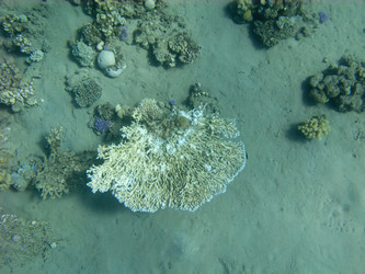 Similar image 785196