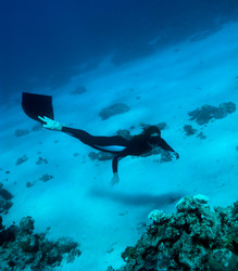 Similar image 785264