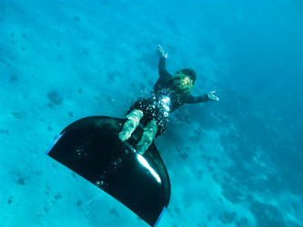 Similar image 785273