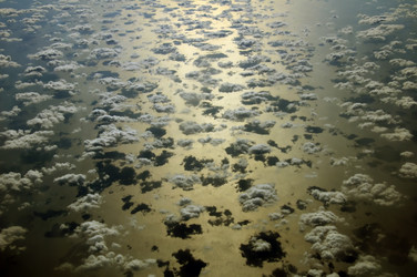 Similar image 785295