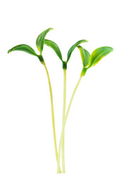 Similar image 785347