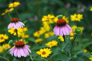 Similar image 785350