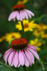 Similar image 785352