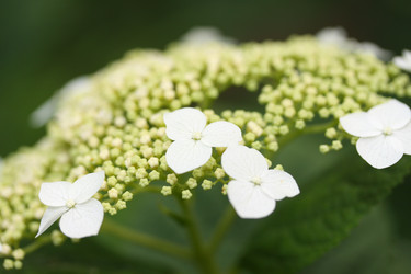 Similar image 785360