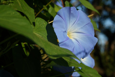 Similar image 785363