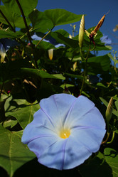 Similar image 785368