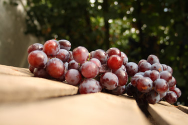 Similar image 785375