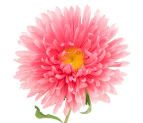 Similar image 785398