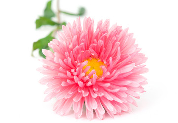 Similar image 785399