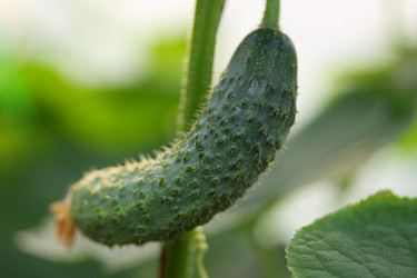 Similar image 785405