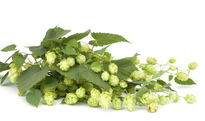 Similar image 785407