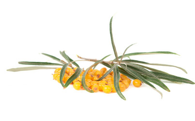 Similar image 785408