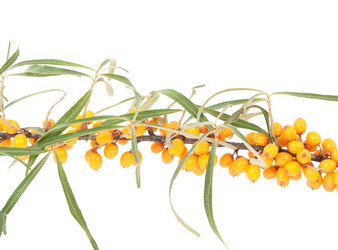 Similar image 785415