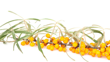 Similar image 785416