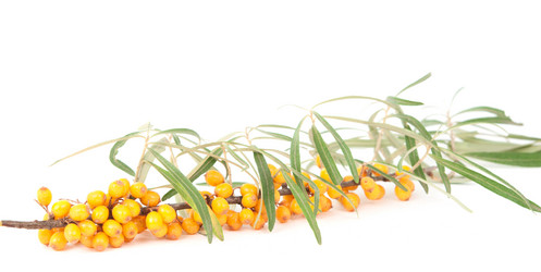 Similar image 785417