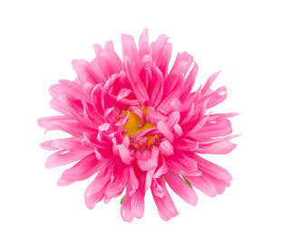 Similar image 785421