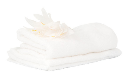 Similar image 785433