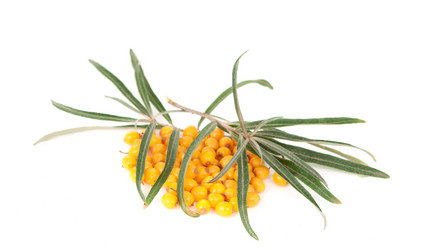 Similar image 785436