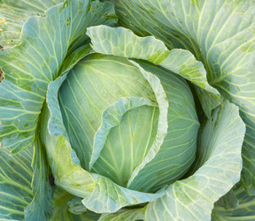 Similar image 785437