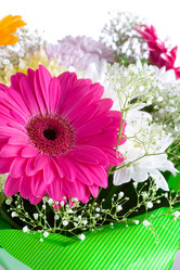 Similar image 785442