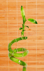 Similar image 785481