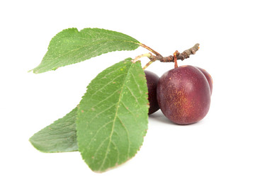 Similar image 785495