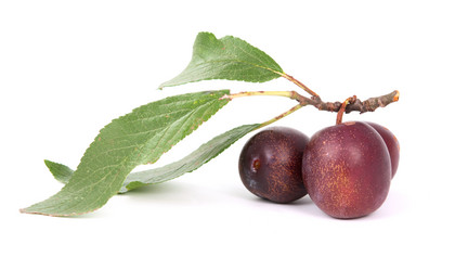 Similar image 785497