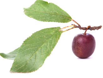 Similar image 785498