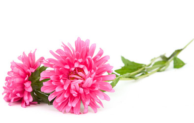 Similar image 785504