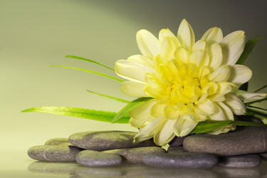 Similar image 785518