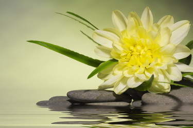 Similar image 785521