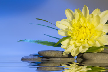 Similar image 785522