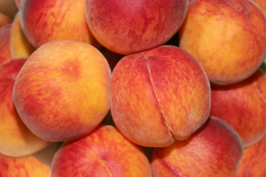 Similar image 785526