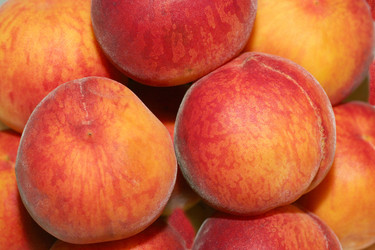 Similar image 785527