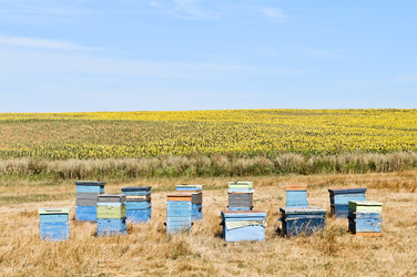 Similar image 785535