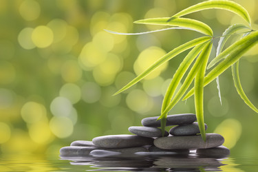 Similar image 785540